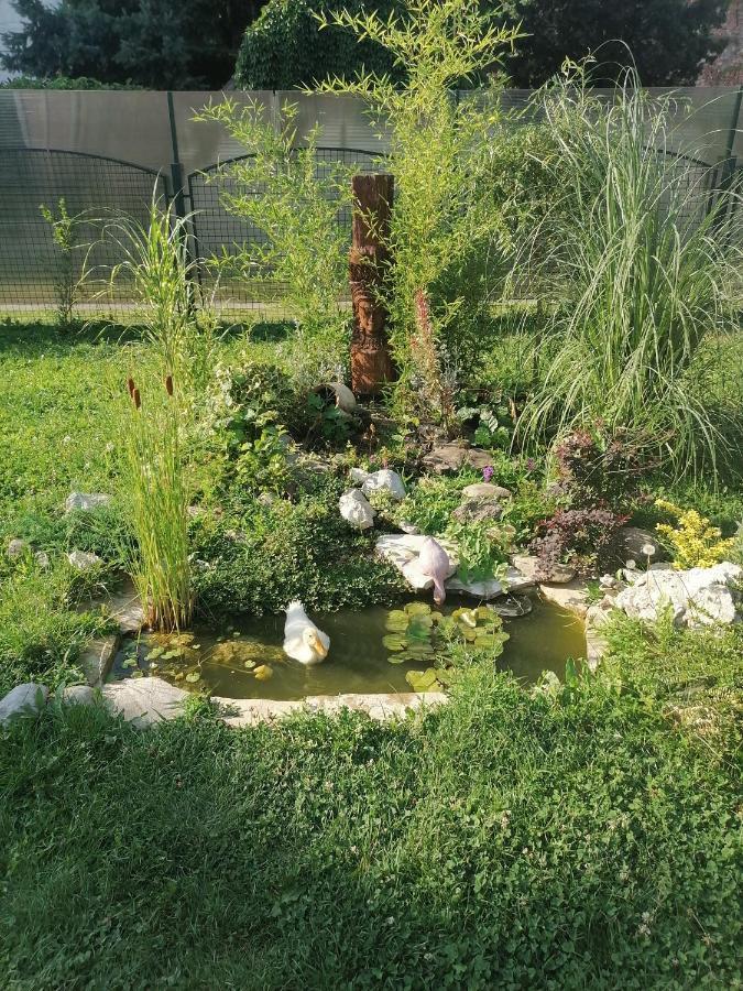 Apartman Garden House Vozdivac Екстер'єр фото